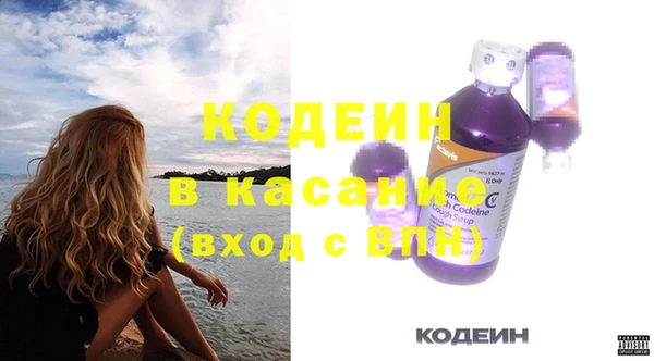 индика Баксан