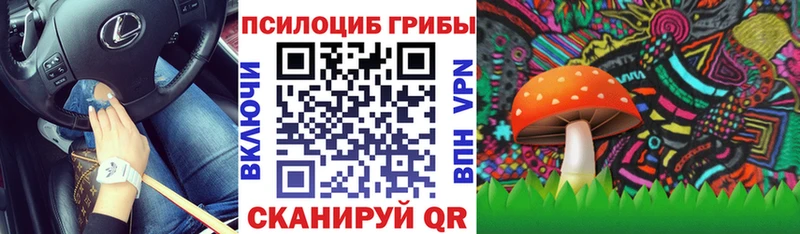 blacksprut ССЫЛКА  Козьмодемьянск  Галлюциногенные грибы мицелий  где купить наркотик 